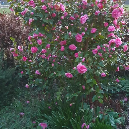 Σπίτι διακοπών Het Melkmeisje Kaatsheuvel