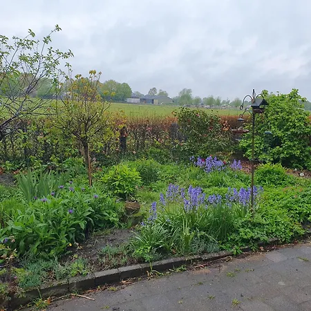 Het Melkmeisje كاتْسهوفيل