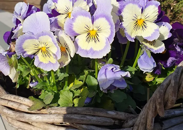 Het Melkmeisje Holiday home