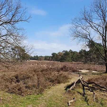 Tatil Evi Het Melkmeisje Kaatsheuvel