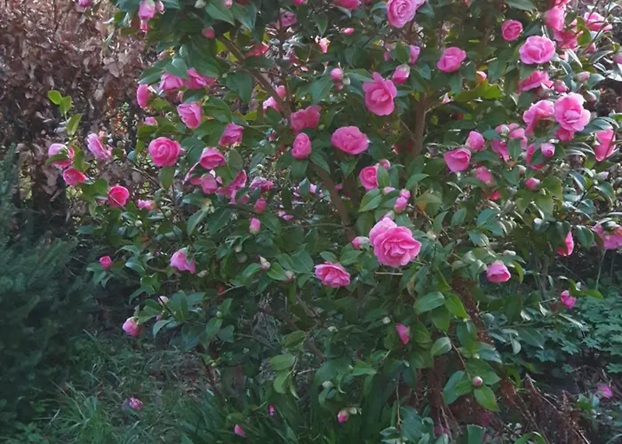 Casa de Férias Het Melkmeisje Kaatsheuvel